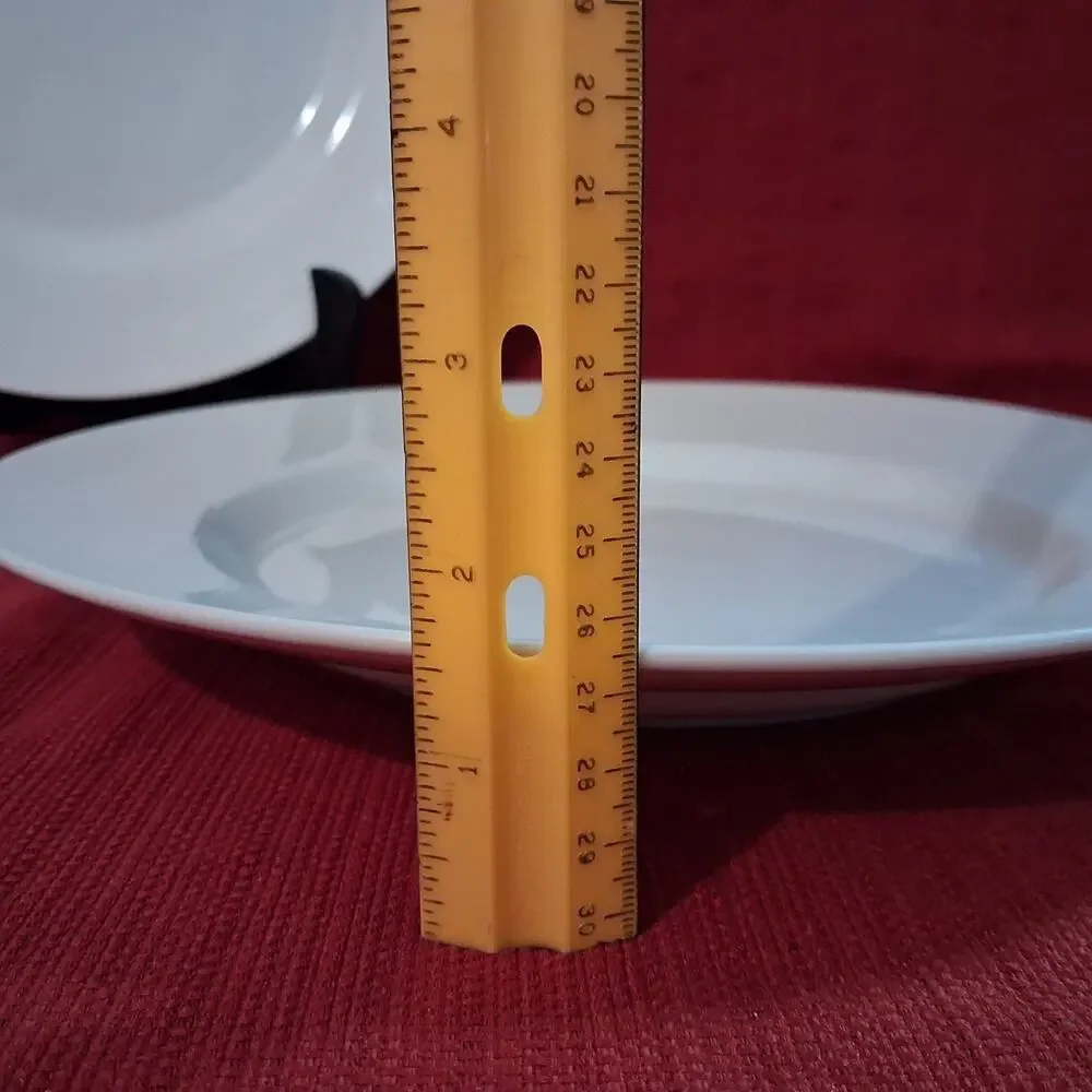 Pottery Barn Great White Porcelain 12” Rimmed Dinner Chop Plates (Lot of 2)